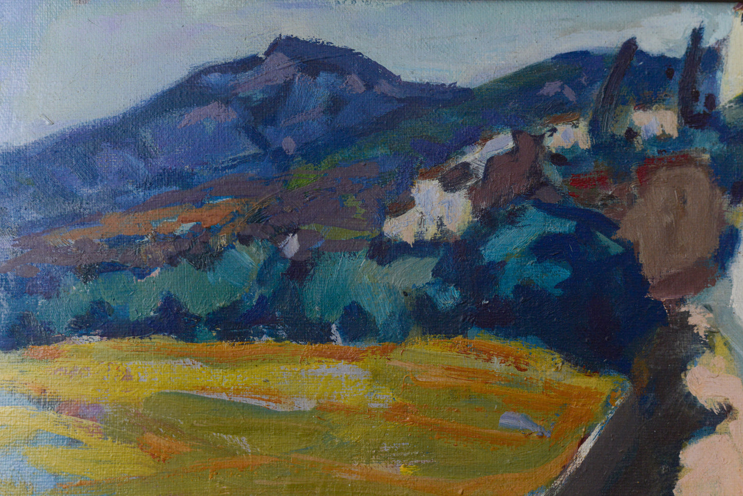 Isabel PONS IRANZO - Reguera Canyelles - Colourist Landscape