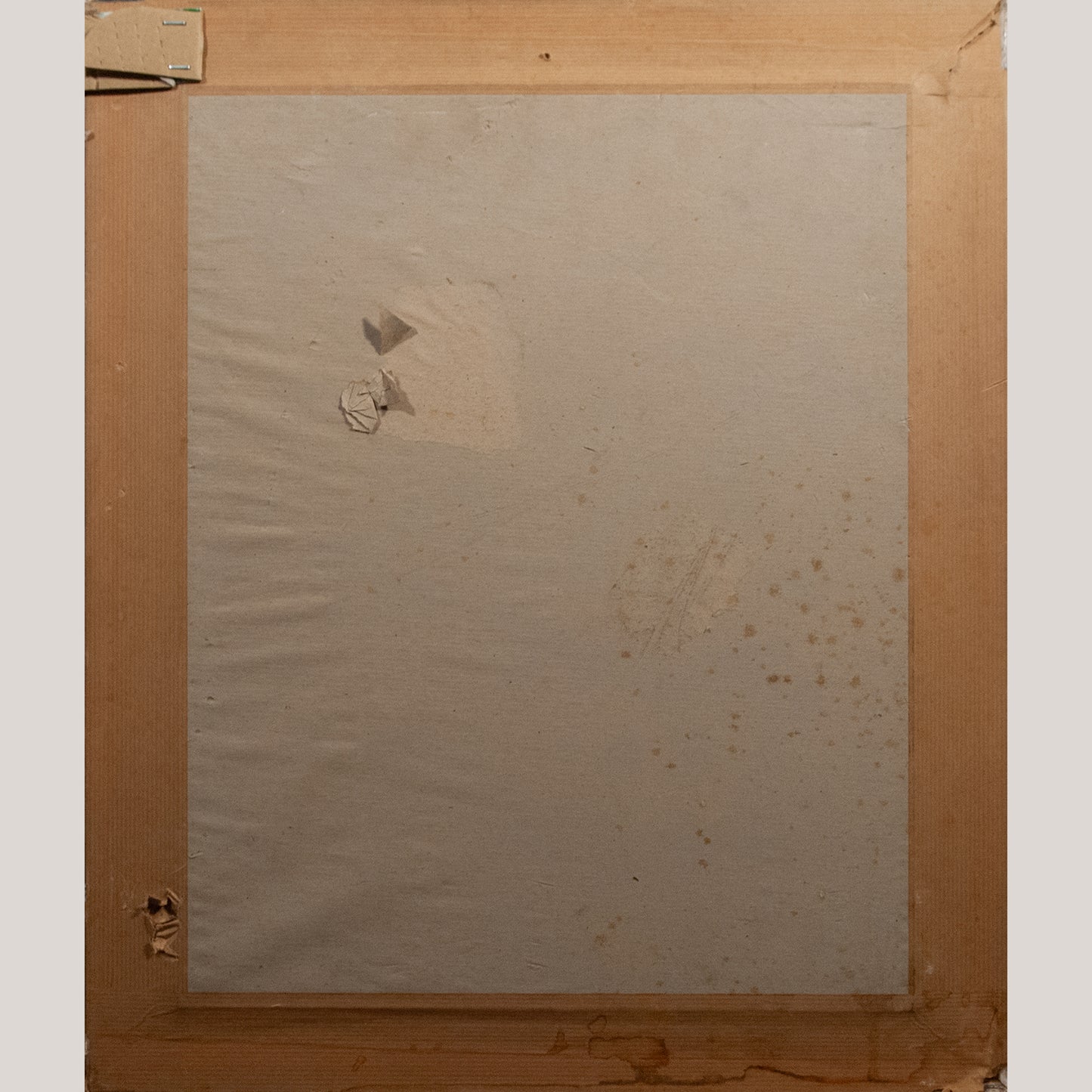 Sprouting Onions Still Life – Artist Presently Unidentified