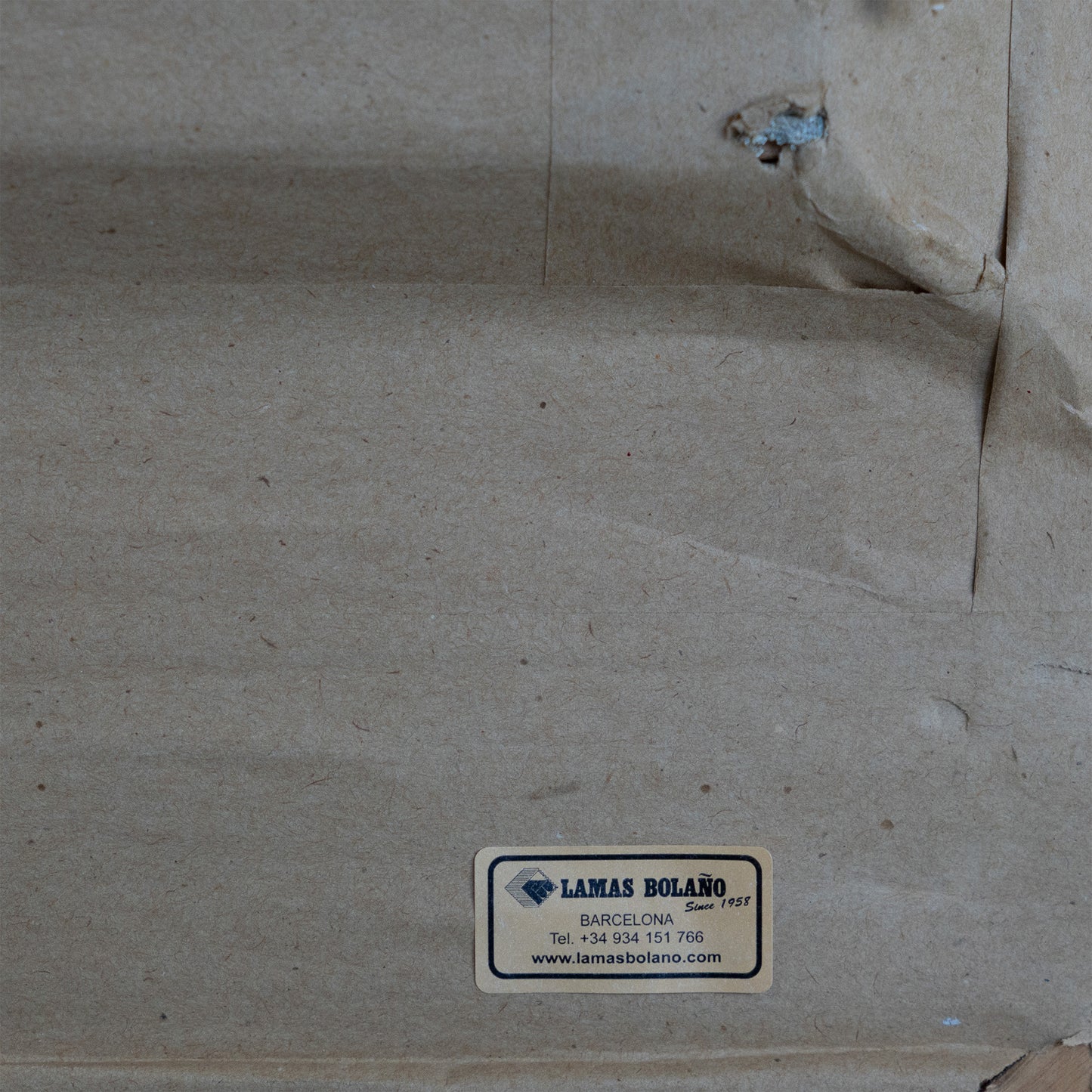 Rugged Hillside Under a Dynamic Sky – Jordi Pausas Mestres