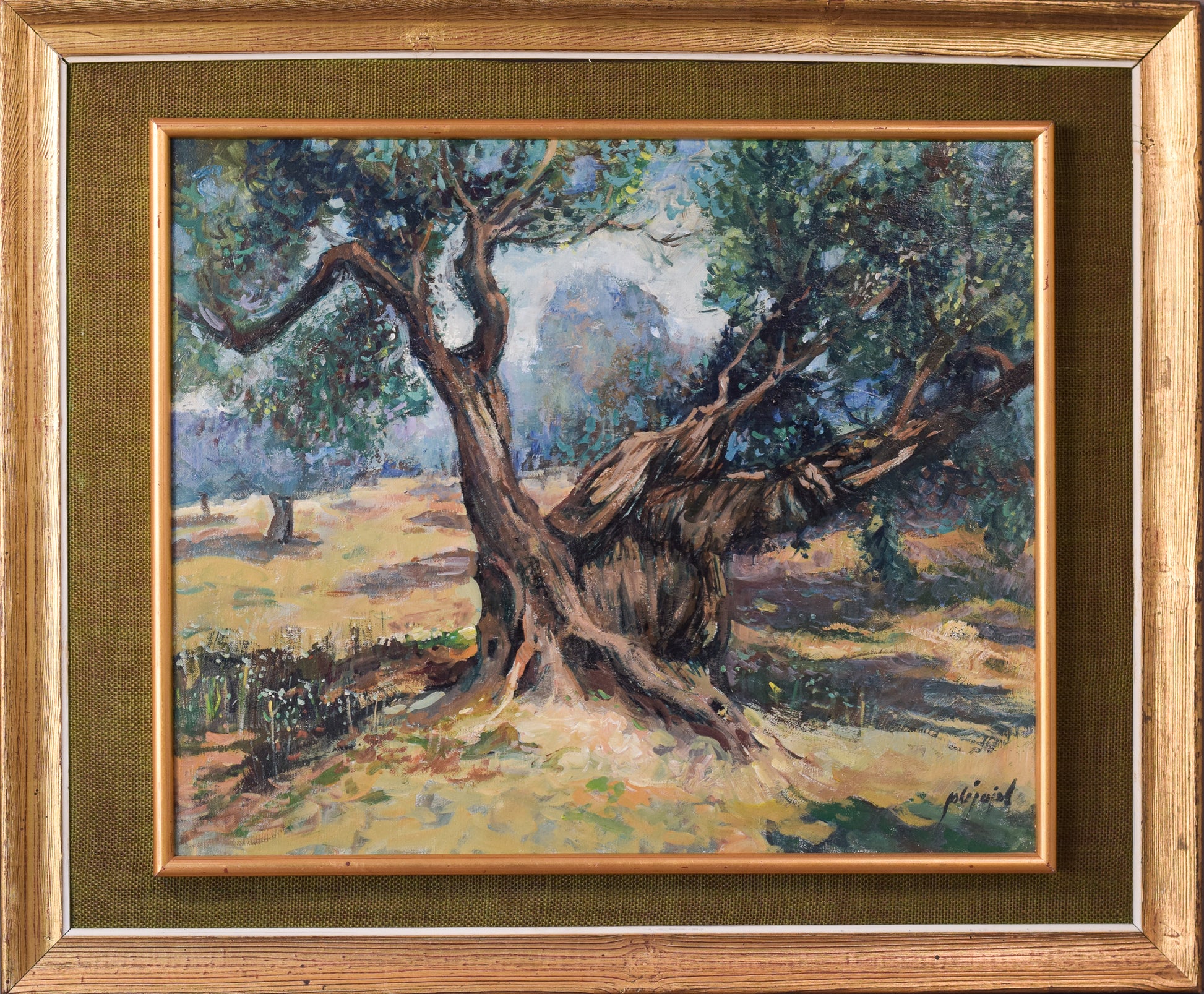 The Old Olive Tree - Modern Decorative