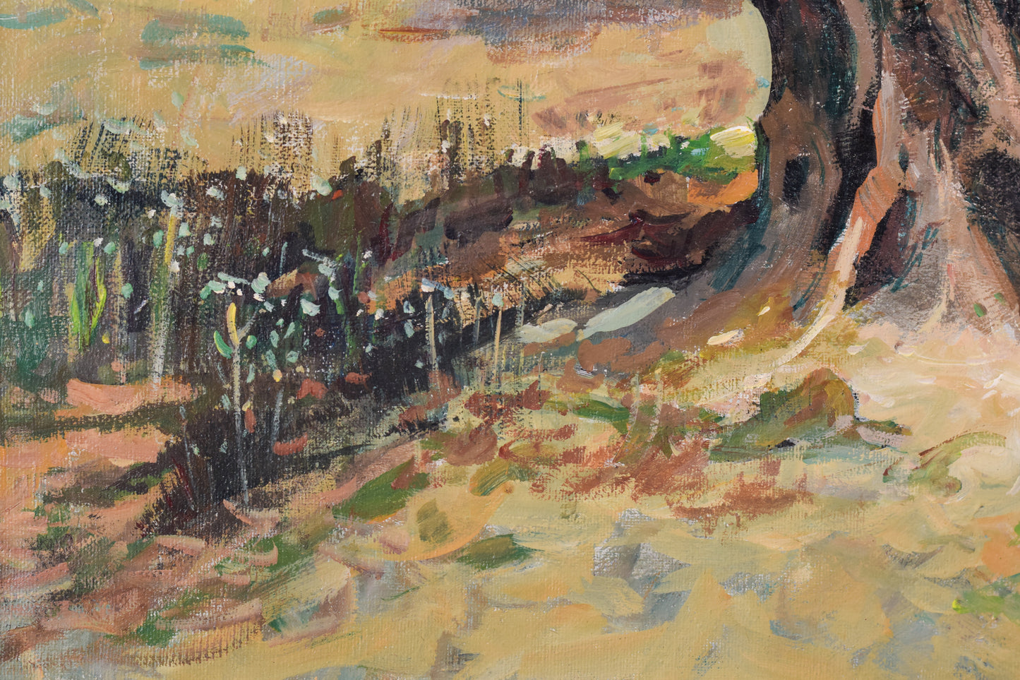 The Old Olive Tree - Modern Decorative