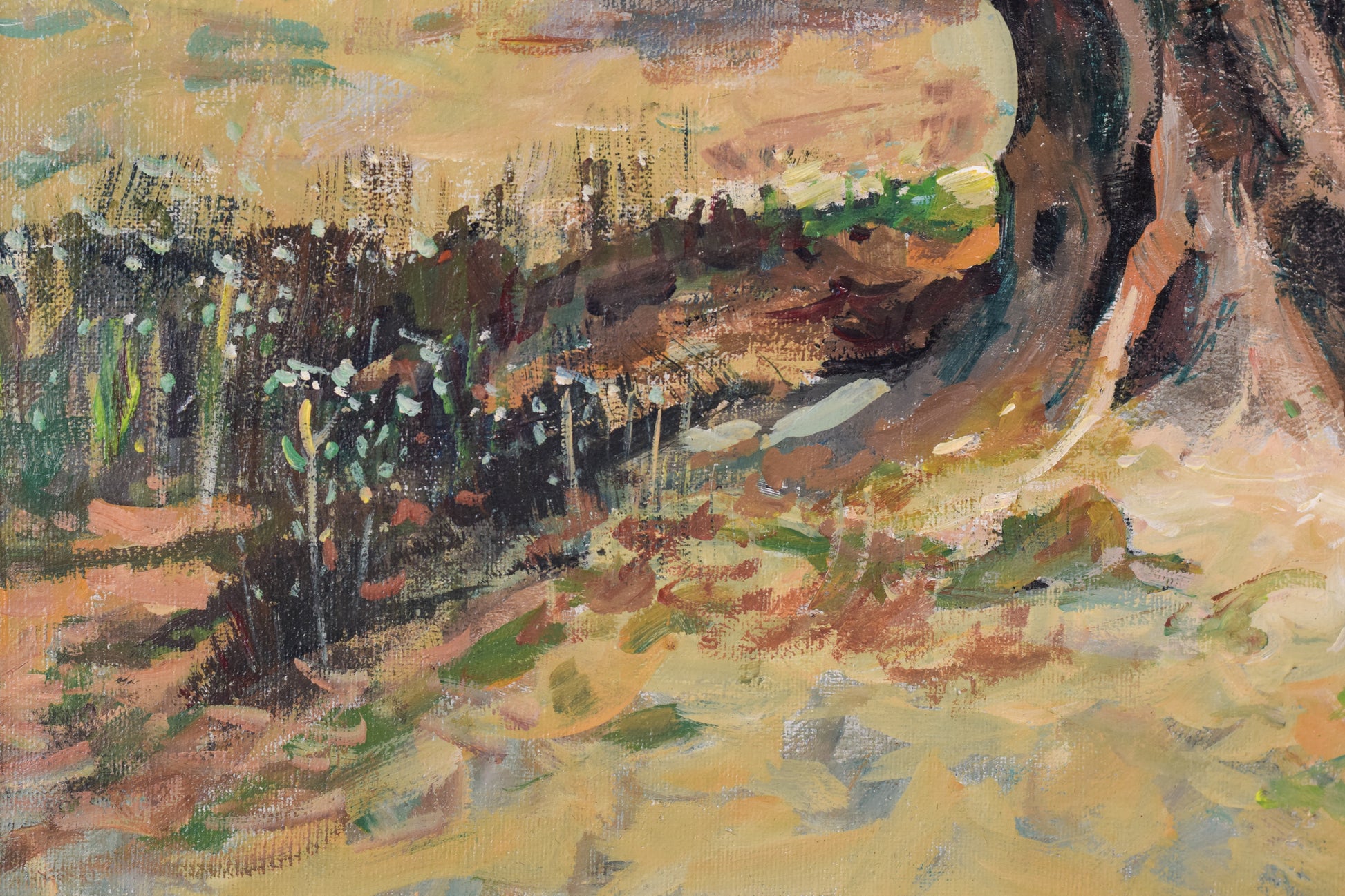 The Old Olive Tree - Modern Decorative