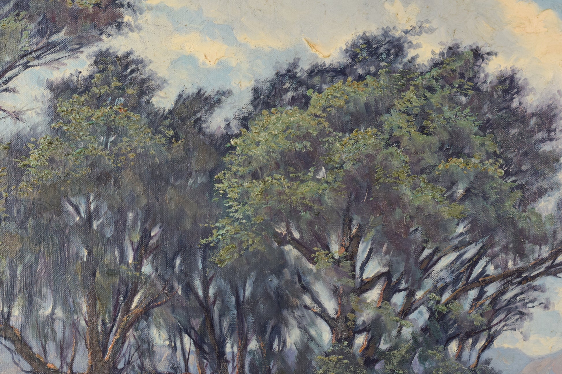 Ricard Tarrega Viladoms - 'Viejos Olivos' ('Old Olive Trees') - Modern Decorative