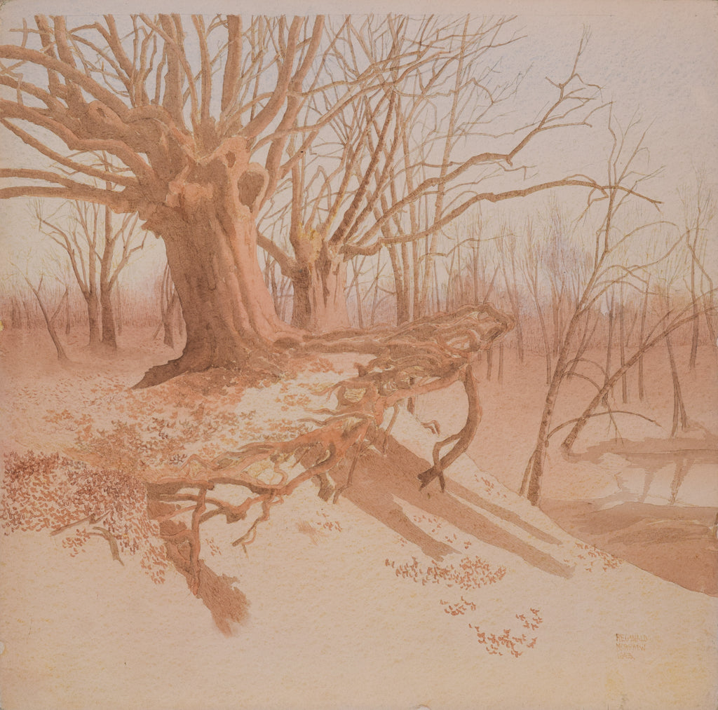 Reginald Morphew - 'Rooted to the Soil'