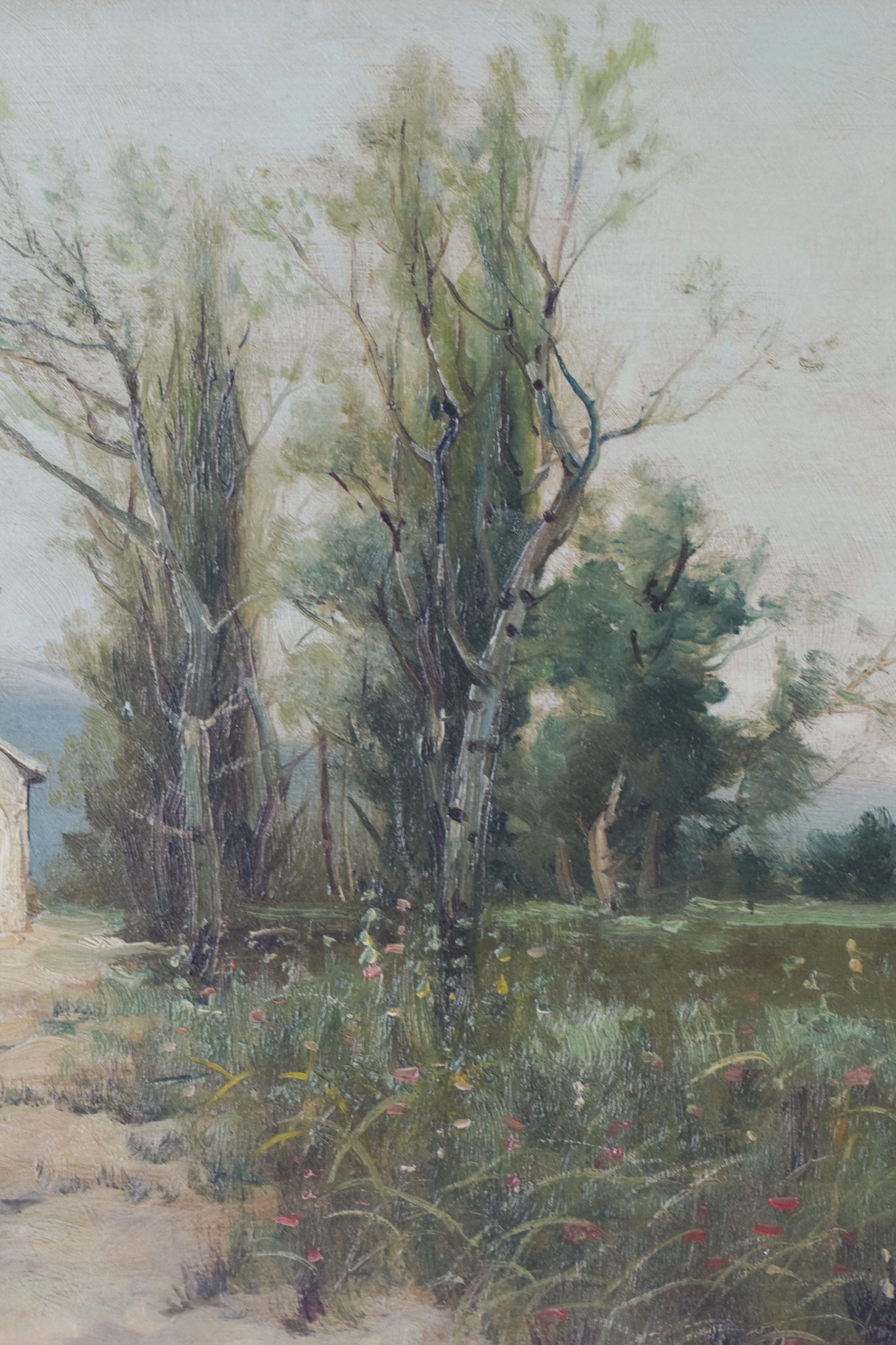 Spanish Landscape - Farmhouse and Wildflower Meadow - Modern Decorative