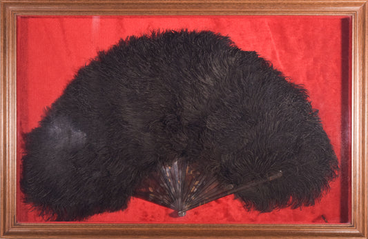 Framed - Ostrich Feather Fan - Modern Decorative