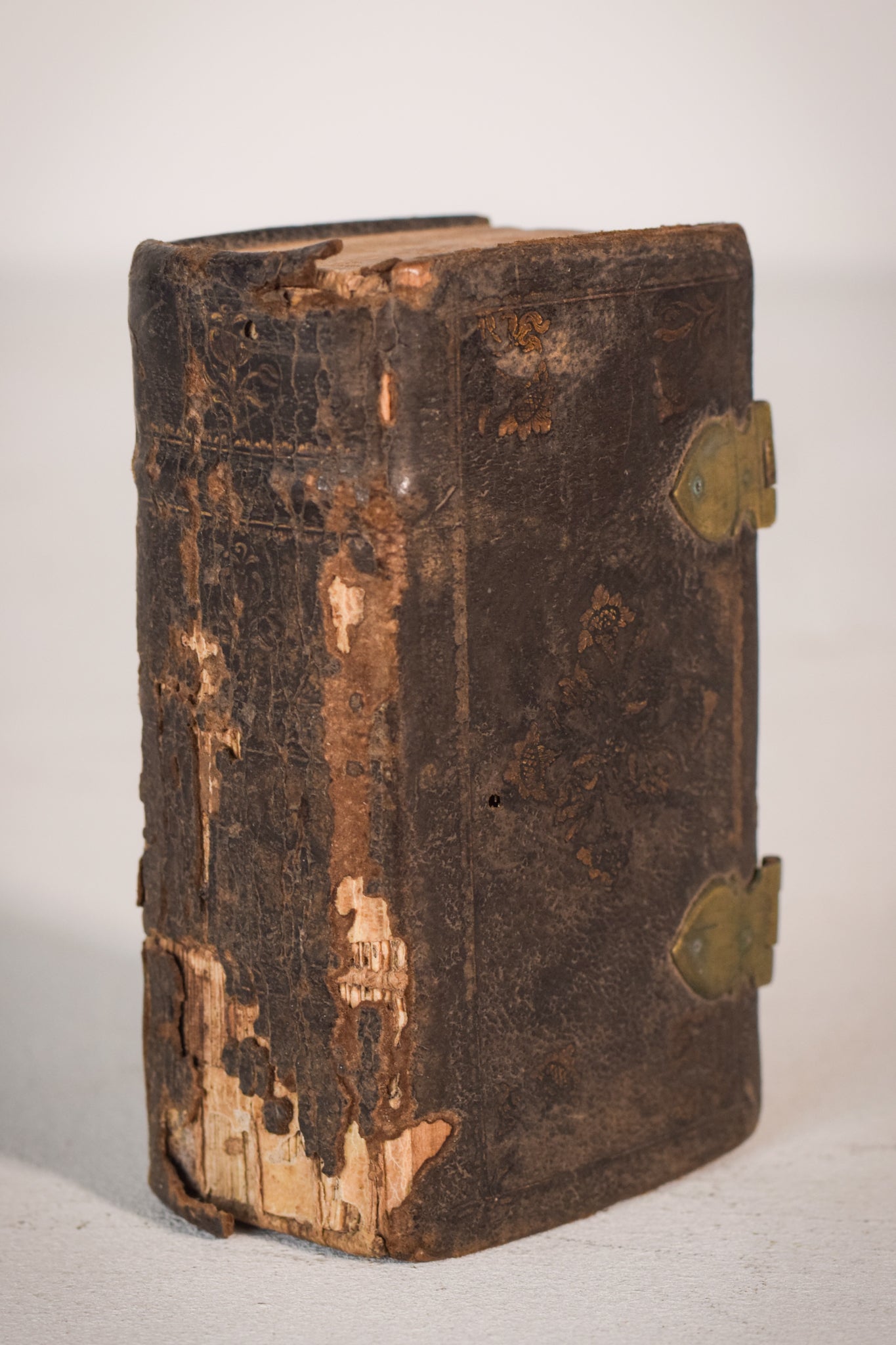 Miniature - Latin Book of Hours - Modern Decorative