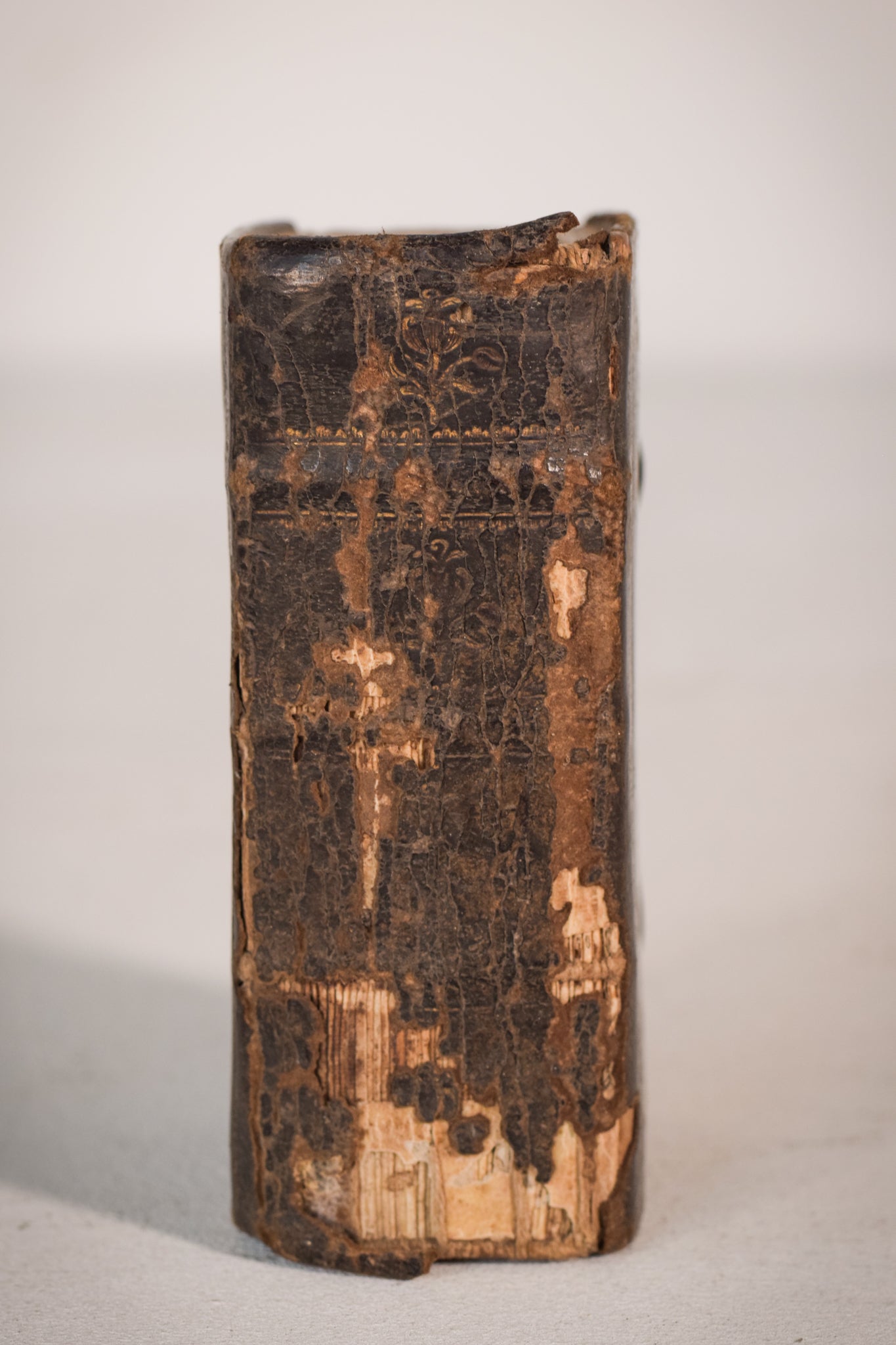 Miniature - Latin Book of Hours - Modern Decorative