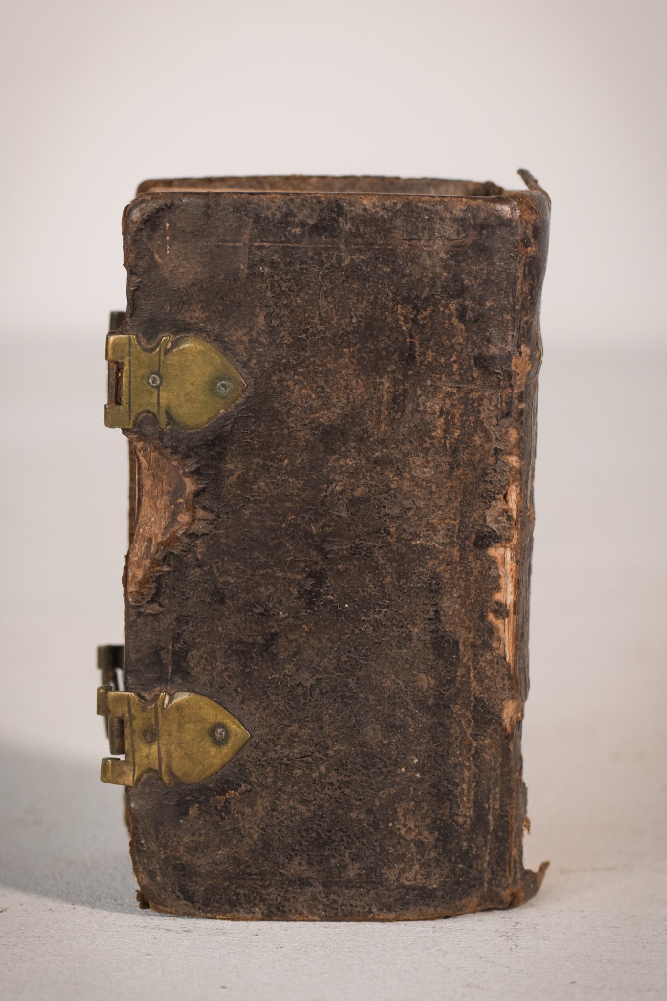 Miniature - Latin Book of Hours - Modern Decorative
