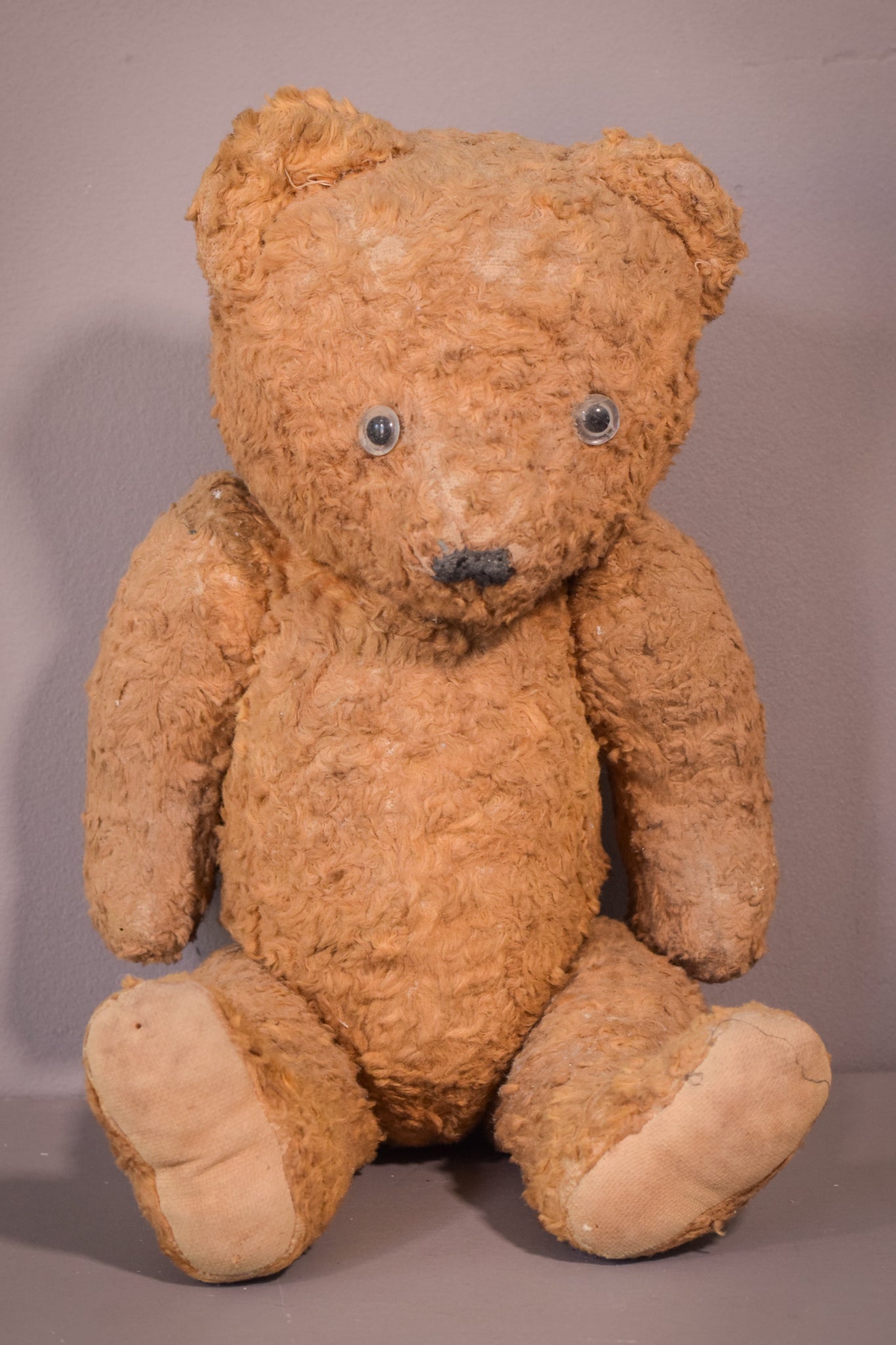 Teddy Vintage