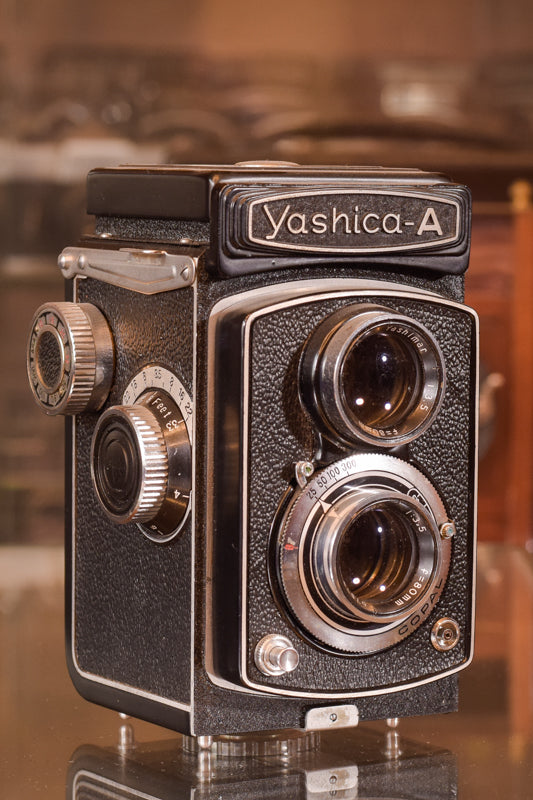 Exceptionally Rare Private Collection - 405 Vintage Cameras