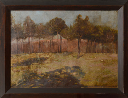 Golden Landscape with Distant Settlement, reminiscent of Orange Road, Tarpon Springs (c. 1893)