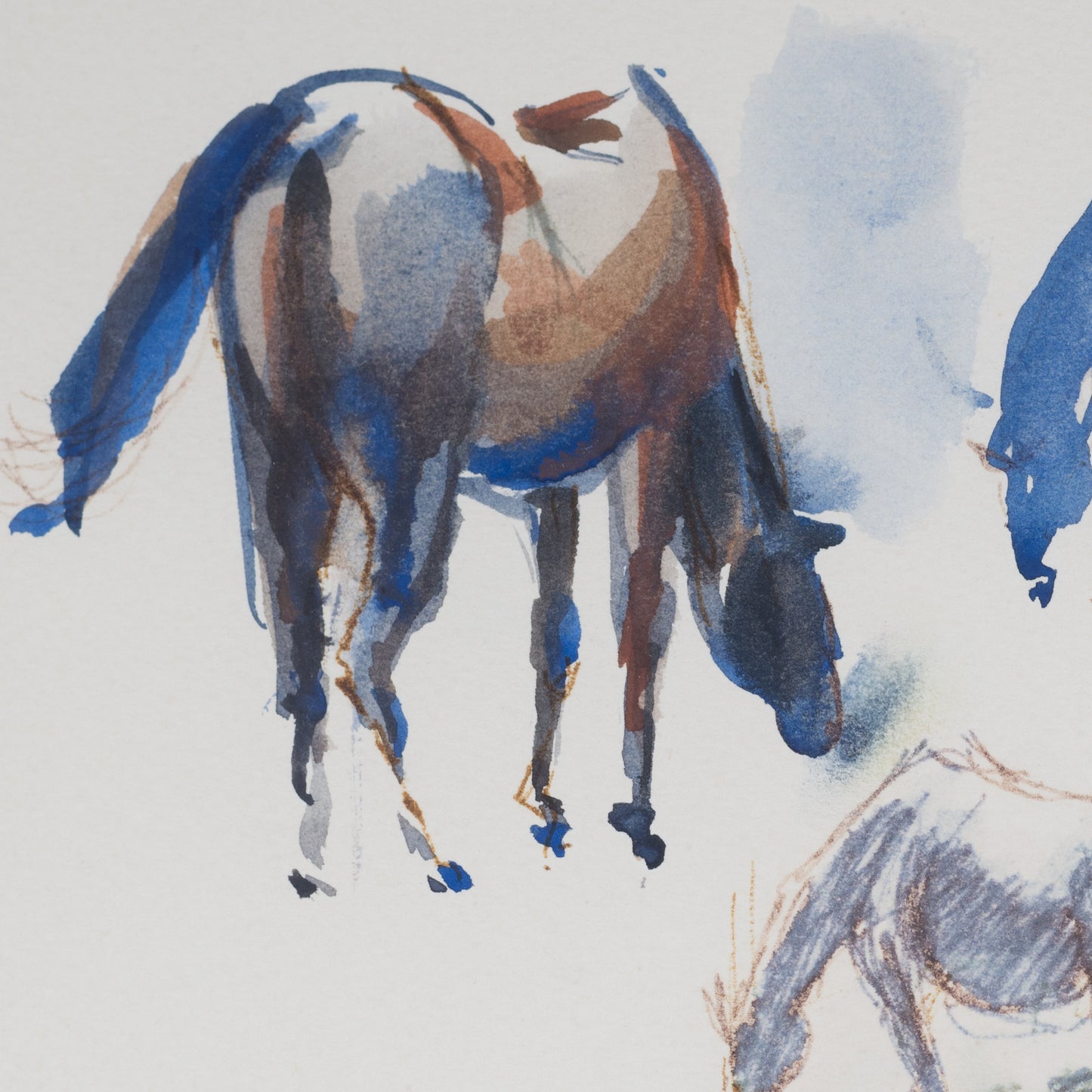 Framed Pen and Ink Watercolour Wash Signed Study of Horses