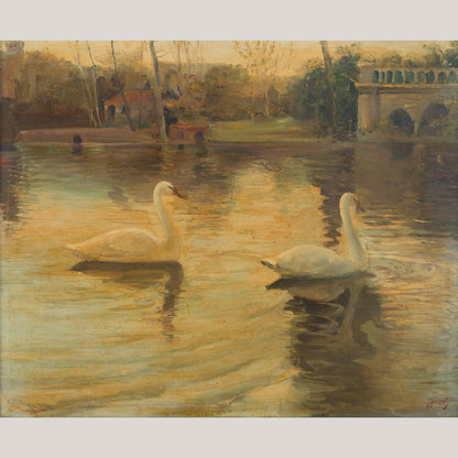 Swans on a Lake - Andrés Justh - Framed Oil on Canvas