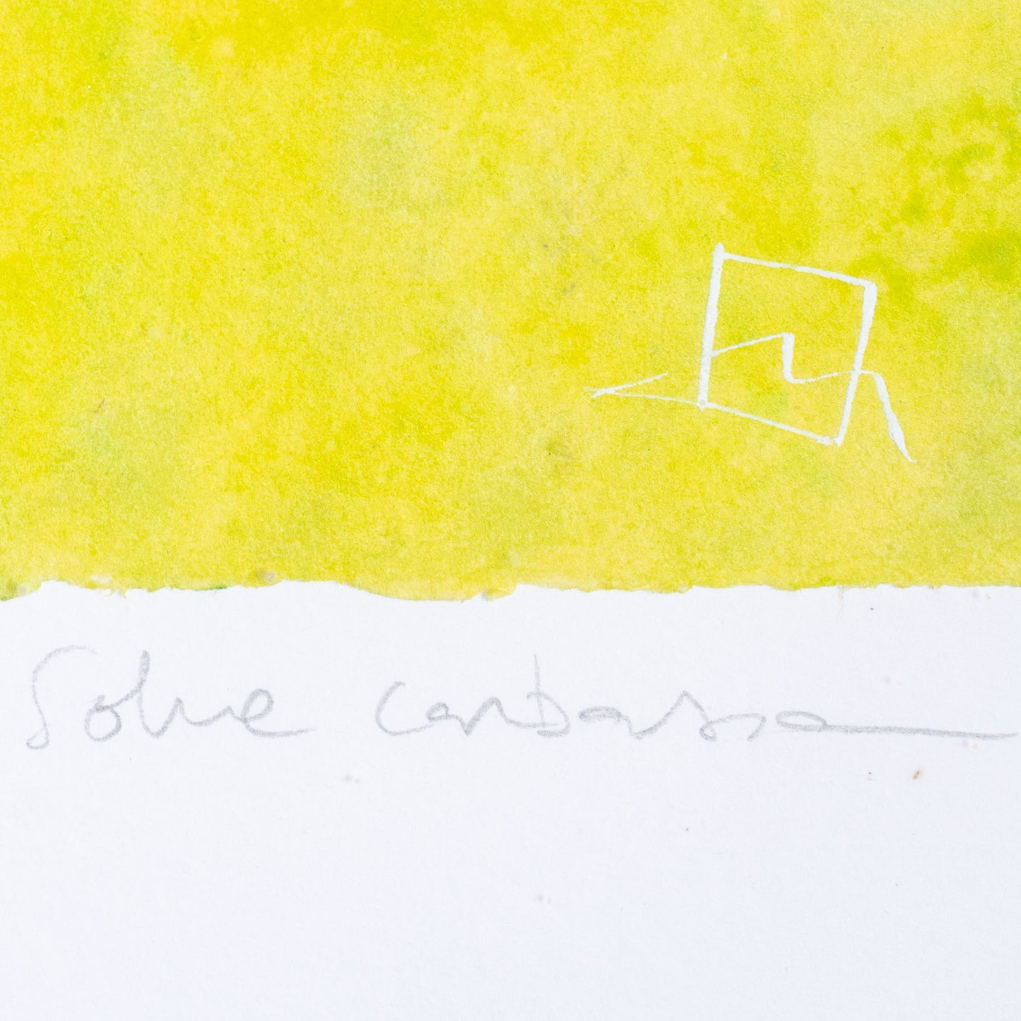 Sole Carboner – Montse Vives Roig