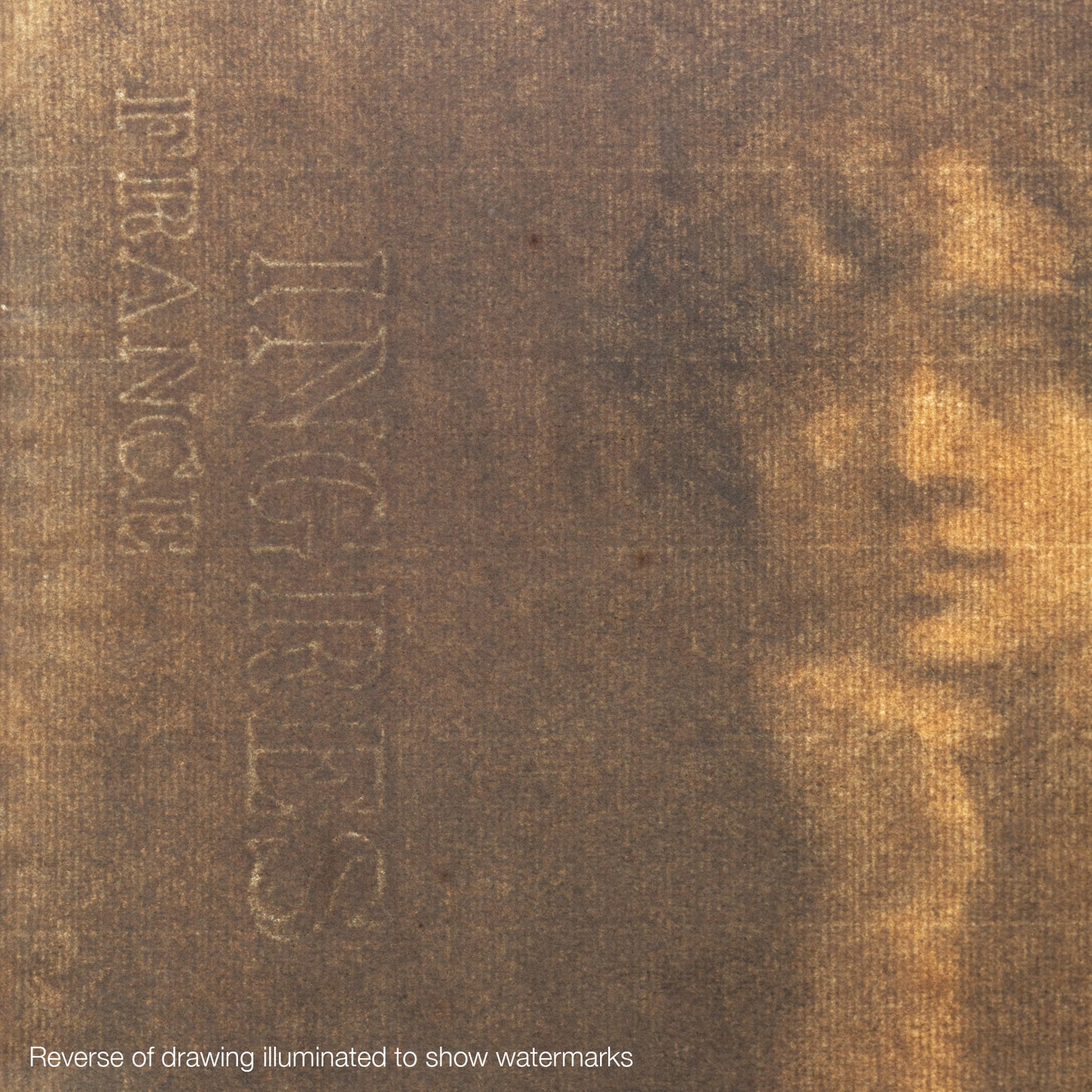 Male Nude Study – Artist Presently Unidentified