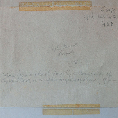 Taloo Harbour Tahiti Missionaries after Michael Angelo Rooker