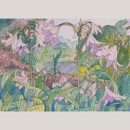 Pink Lilies by Joan Scott - Watercolour