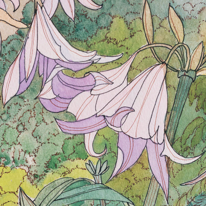Pink Lilies by Joan Scott - Watercolour