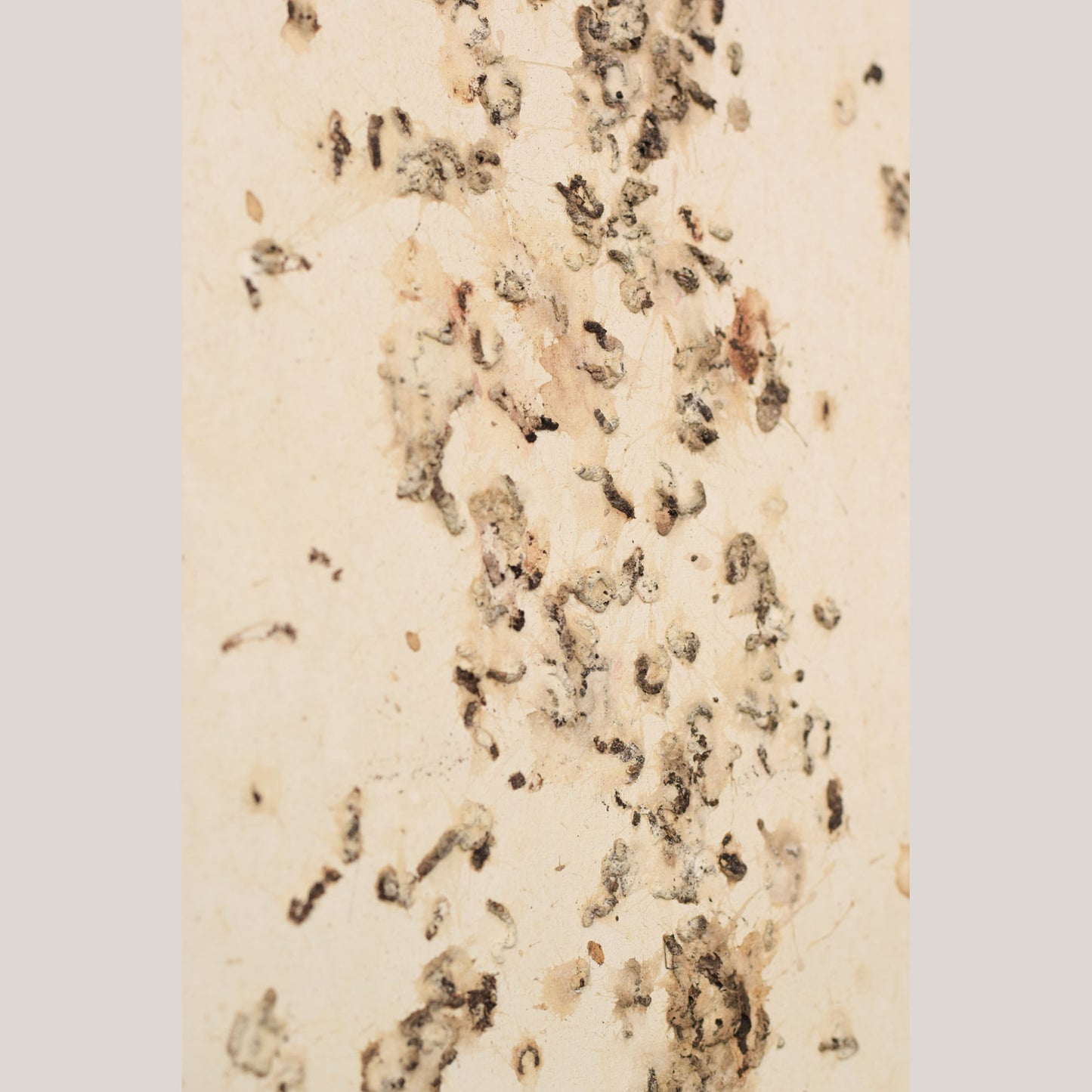 Follower of Dan Colen - 'Untitled (Bird Shit)'