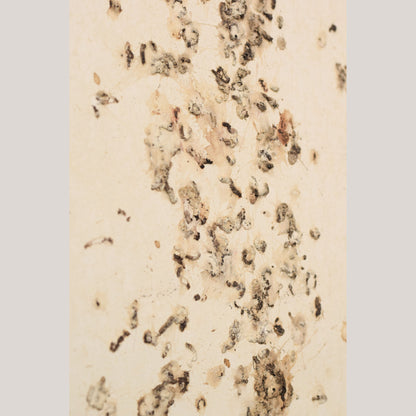 Follower of Dan Colen - 'Untitled (Bird Shit)'