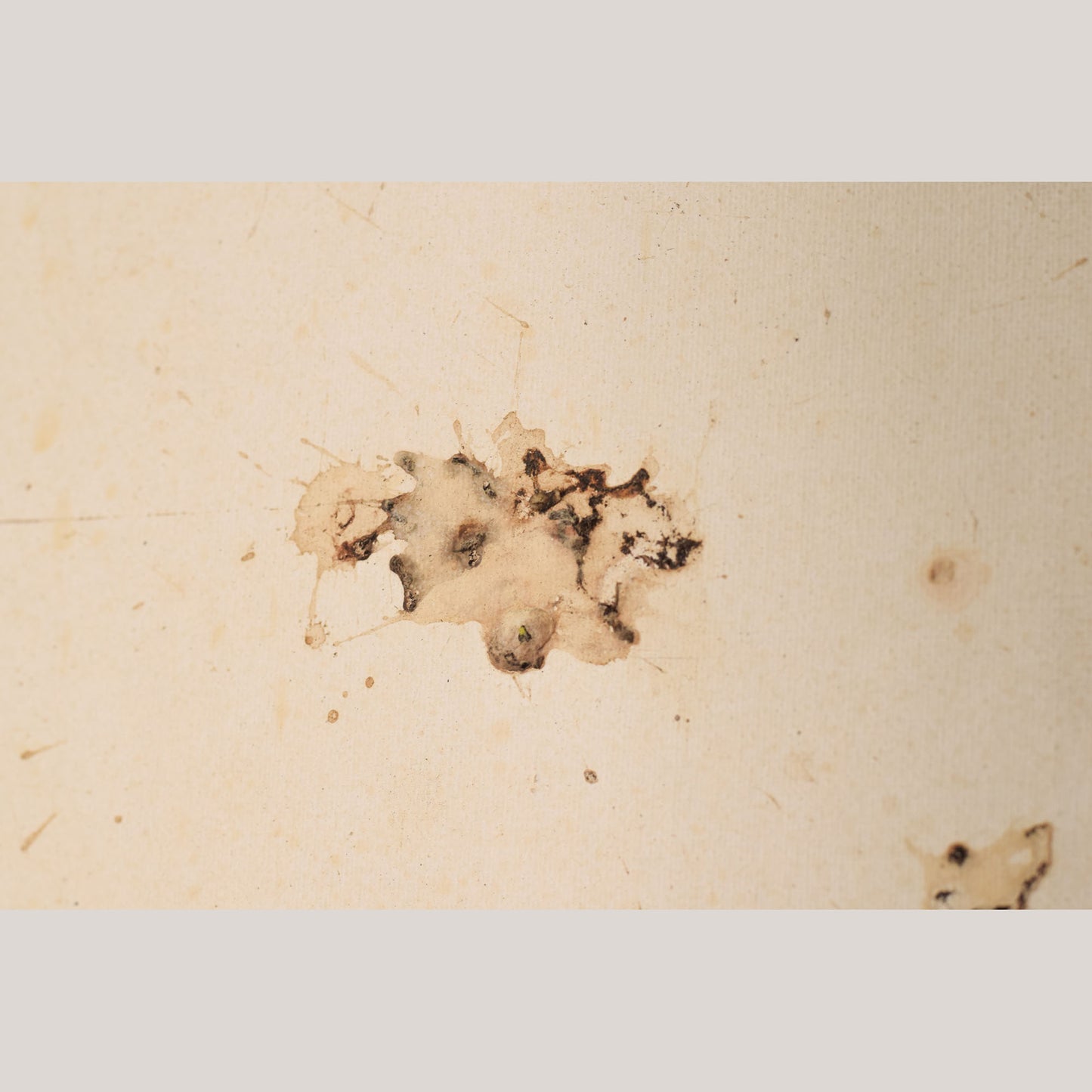 Follower of Dan Colen - 'Untitled (Bird Shit)'