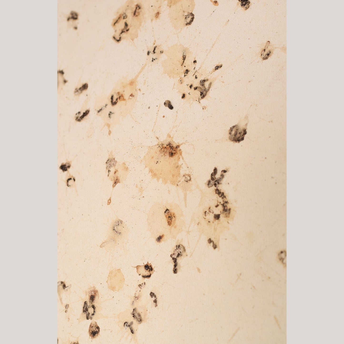 Follower of Dan Colen - 'Untitled (Bird Shit)'