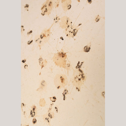 Follower of Dan Colen - 'Untitled (Bird Shit)'