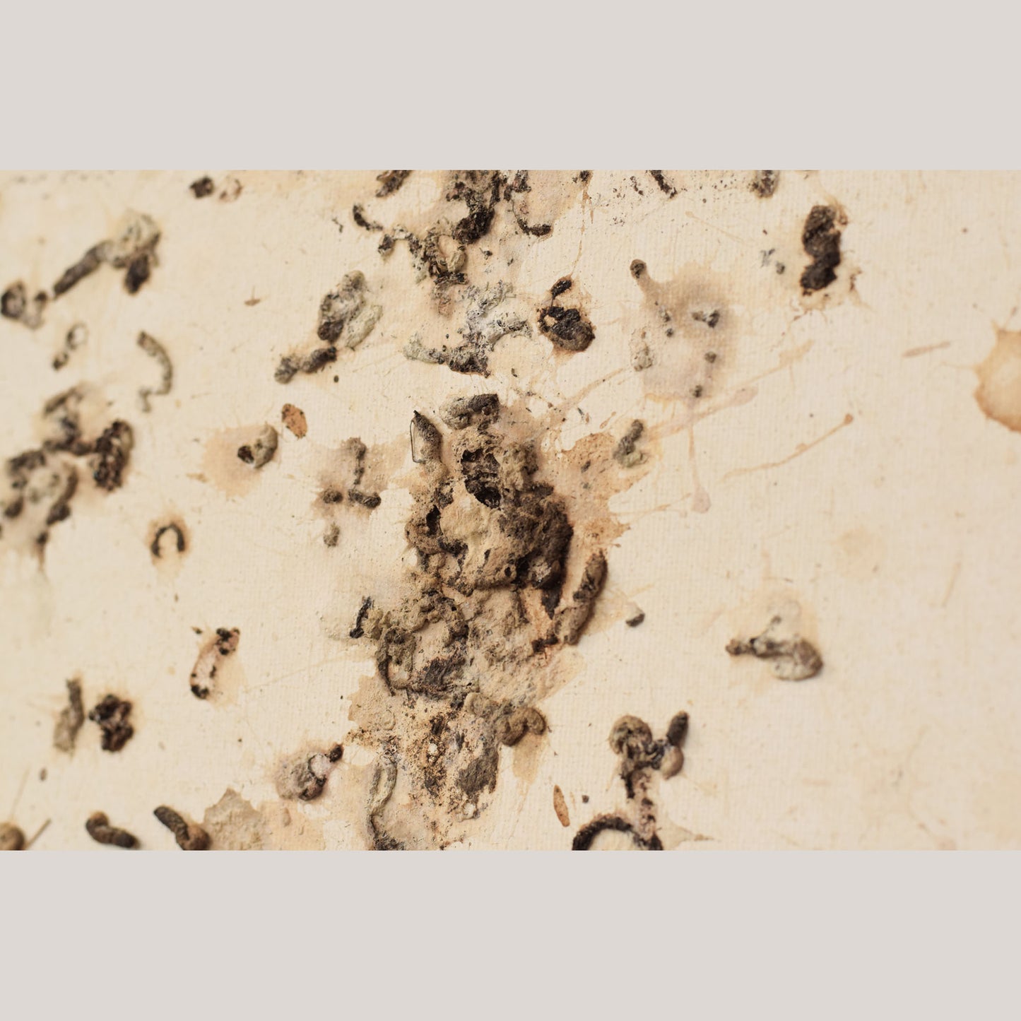 Follower of Dan Colen - 'Untitled (Bird Shit)'