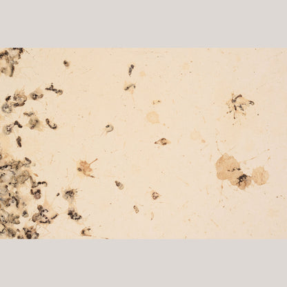 Follower of Dan Colen - 'Untitled (Bird Shit)'