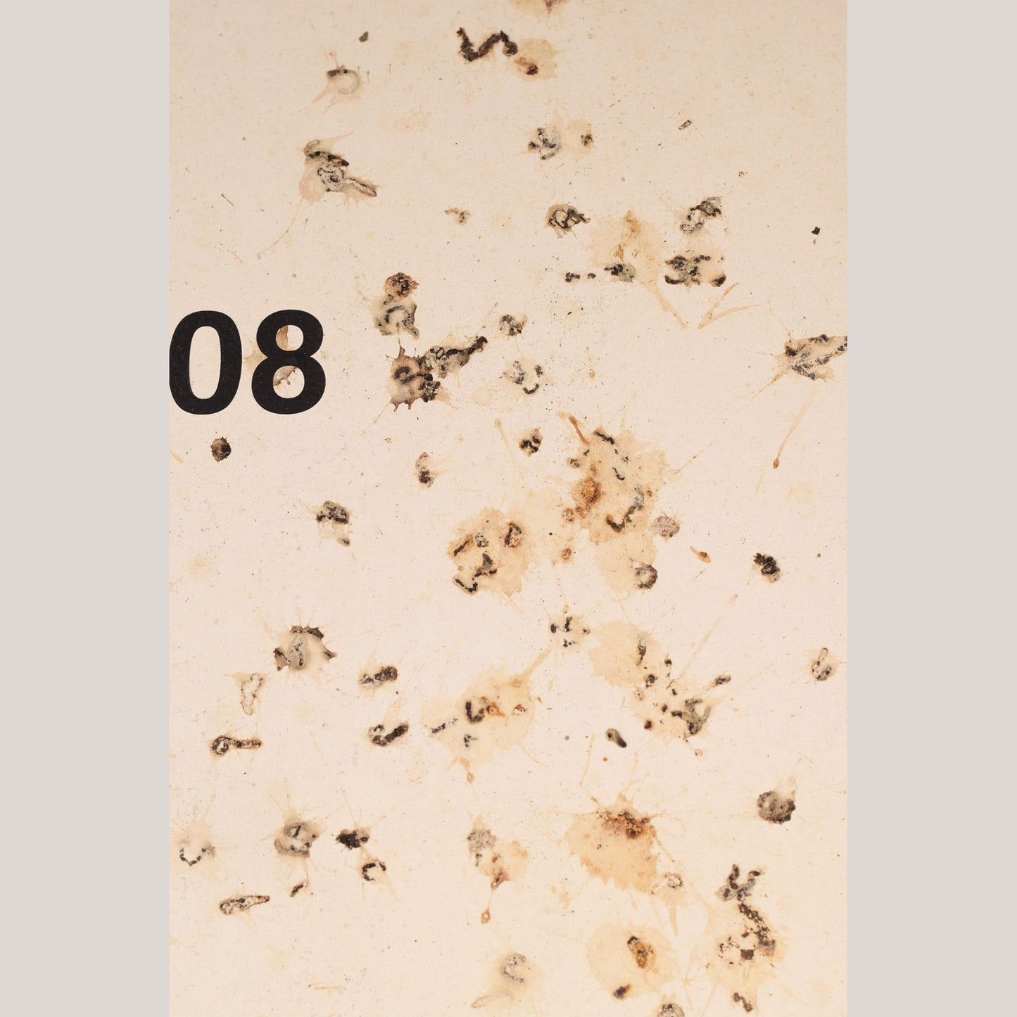 Follower of Dan Colen - 'Untitled (Bird Shit)'