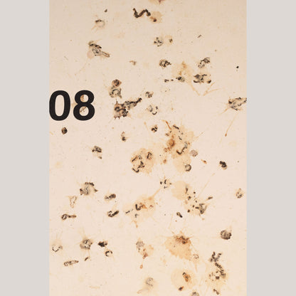 Follower of Dan Colen - 'Untitled (Bird Shit)'