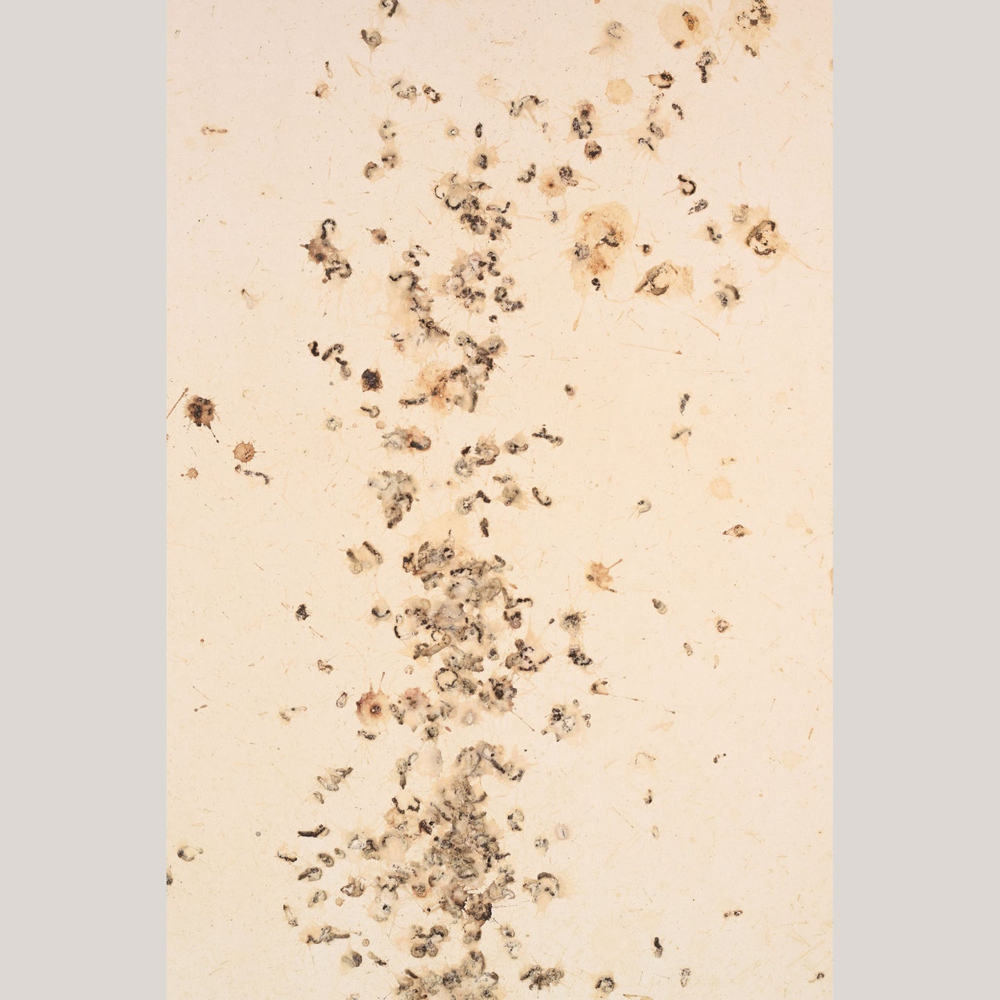 Follower of Dan Colen - 'Untitled (Bird Shit)'