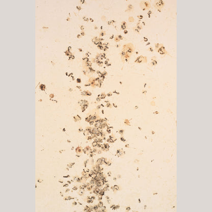 Follower of Dan Colen - 'Untitled (Bird Shit)'