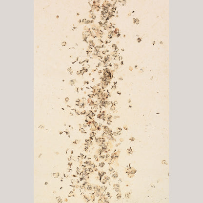 Follower of Dan Colen - 'Untitled (Bird Shit)'