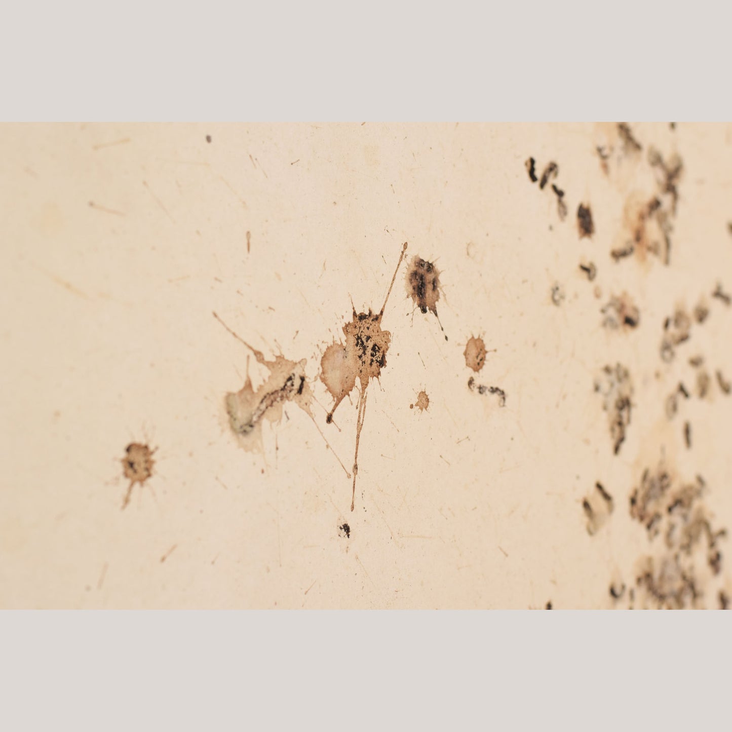 Follower of Dan Colen - 'Untitled (Bird Shit)'