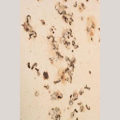Follower of Dan Colen - 'Untitled (Bird Shit)'