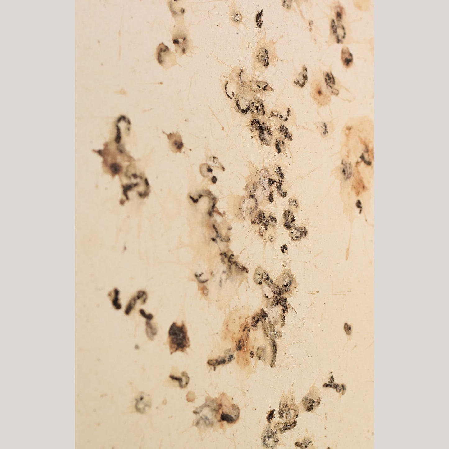 Follower of Dan Colen - 'Untitled (Bird Shit)'