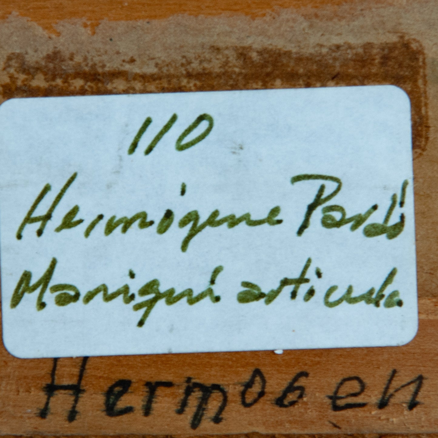 Articulated Mannequin with Palm Leaf – Hermógenes Pardo Ruiz