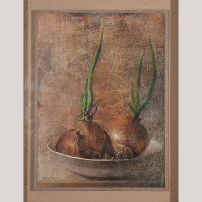 Sprouting Onions Still Life – Artist Presently Unidentified