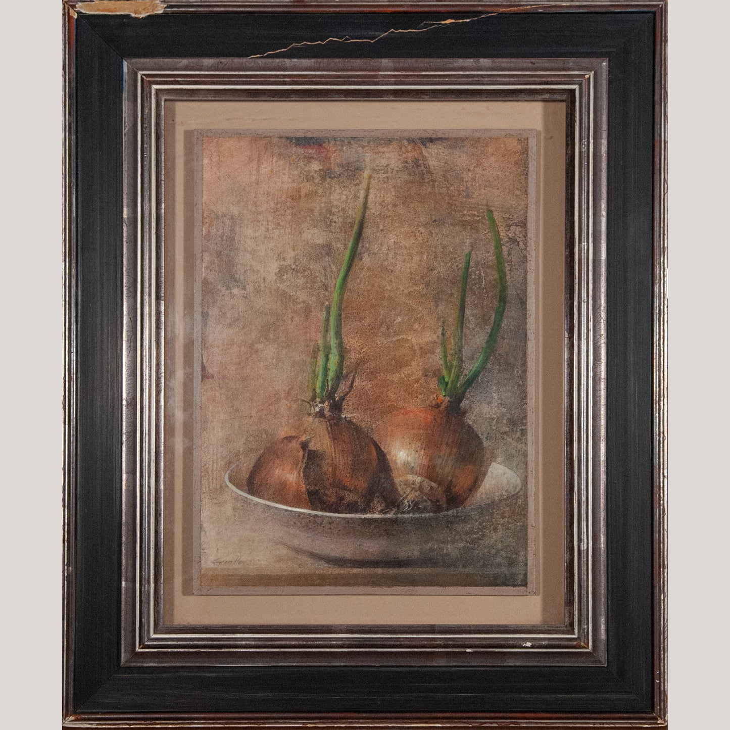 Sprouting Onions Still Life – Artist Presently Unidentified