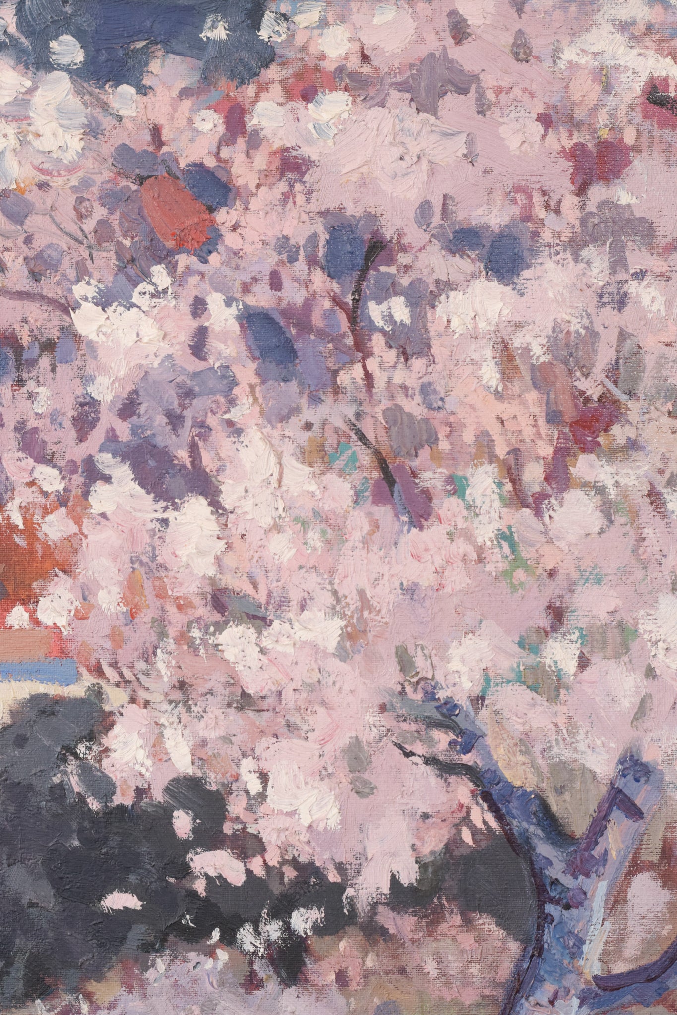 Josep Mas Pou - Almond Blossom