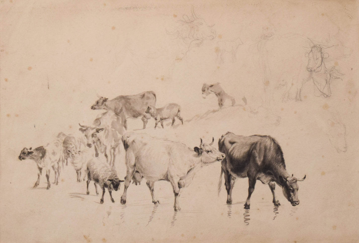 Study of Cattle and Sheep – Thomas Sidney Cooper or Follower