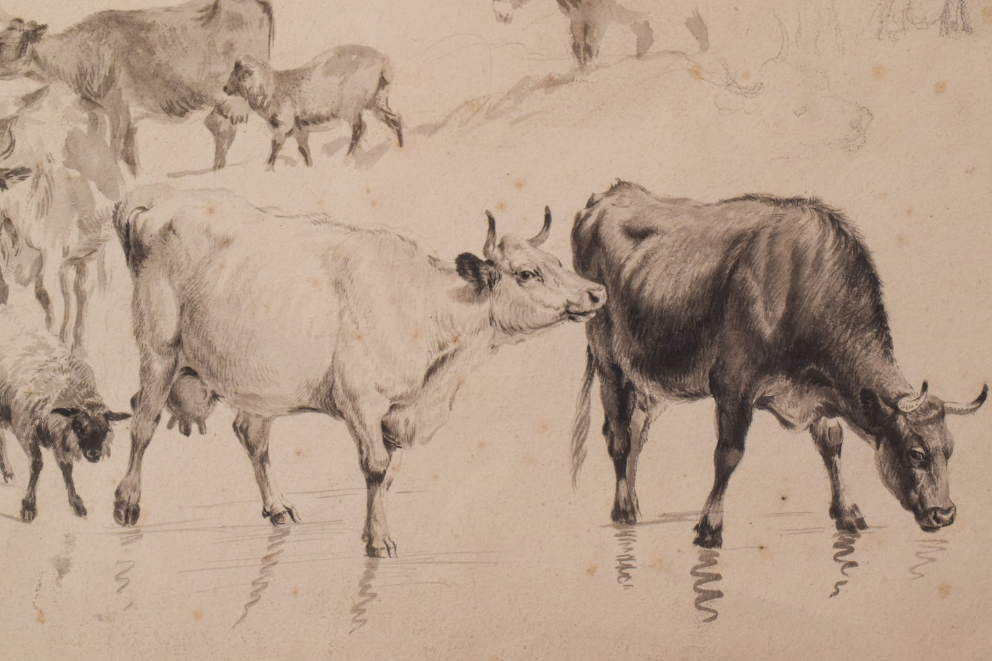 Study of Cattle and Sheep – Thomas Sidney Cooper or Follower