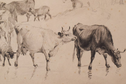 Study of Cattle and Sheep – Thomas Sidney Cooper or Follower
