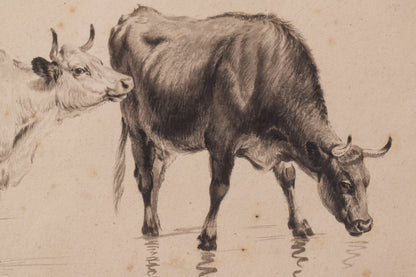 Study of Cattle and Sheep – Thomas Sidney Cooper or Follower