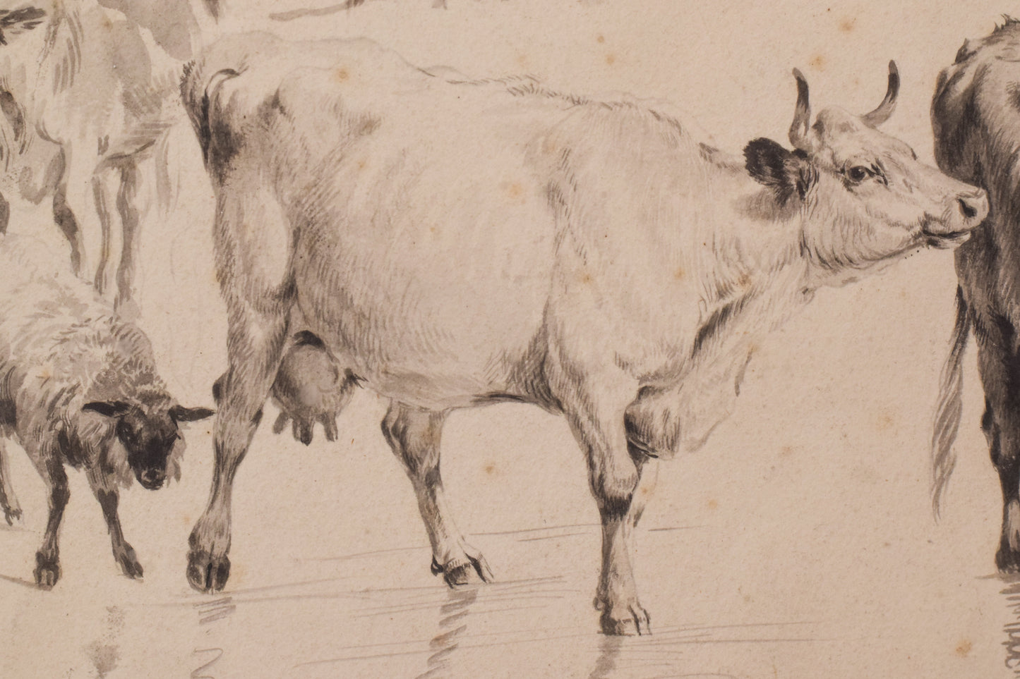 Study of Cattle and Sheep – Thomas Sidney Cooper or Follower