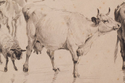 Study of Cattle and Sheep – Thomas Sidney Cooper or Follower