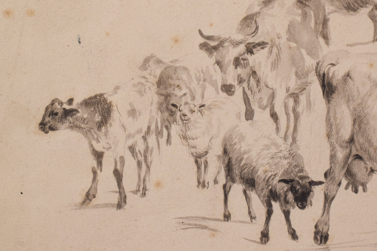 Study of Cattle and Sheep – Thomas Sidney Cooper or Follower