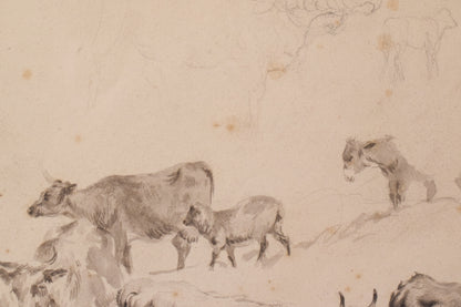 Study of Cattle and Sheep – Thomas Sidney Cooper or Follower